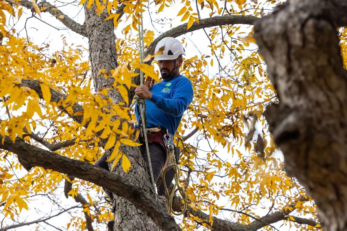 Skilled Storm Damage Cleanup crew working in Huron