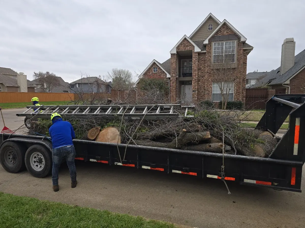 Expert Tree Fertilization with proper safety equipment in Huron